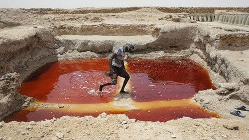 Sun of the Soil Bild 2