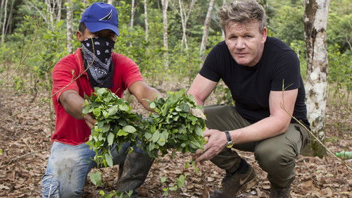 Gordon Ramsay on Cocaine Bild 2