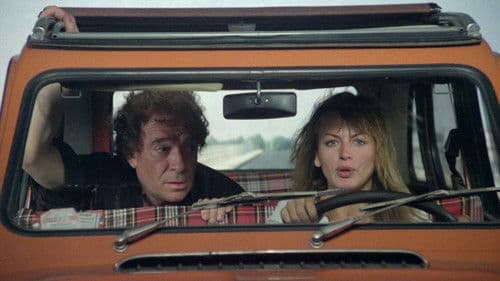 Der Kater läßt das Mausen nicht Bild 1