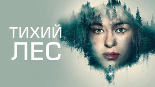 Schweigend steht der Wald Bild 4