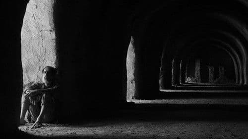 دشت خاموش Bild 2