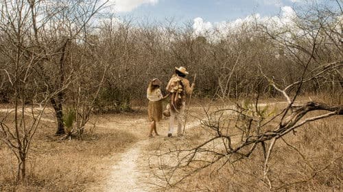 O Auto da Boa Esperança Bild 2