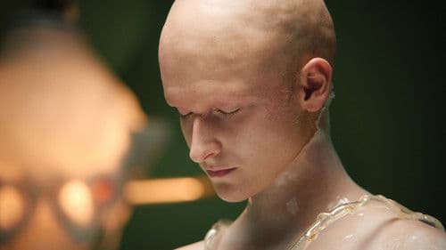 Dziwnie być człowiekiem Bild 2