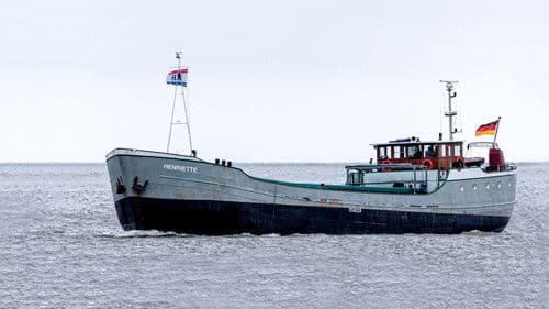 Kümo Henriette Bild 1