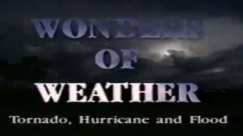 Tornado! Hurricane! Flood!: Wonders of the Weather Bild 1