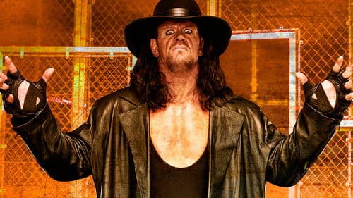 WWE Hell in a Cell 2009 Bild 1