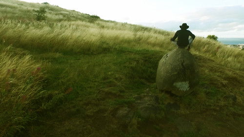 Future Sparrow Bild 1