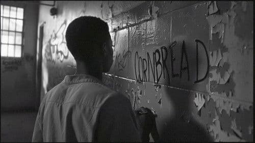 Microphone Check: The Hidden History of Hip Hop Bild 1