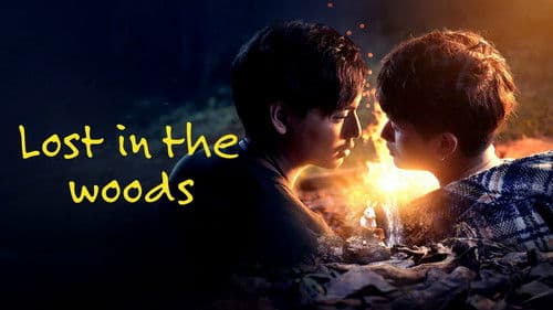 Lost in the Woods Bild 4
