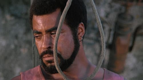 Der scharlachrote Pirat Bild 5