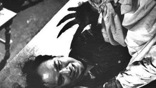 Pusaka Pontianak Bild 1