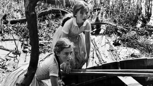 Vertraue keinem Fremden Bild 3