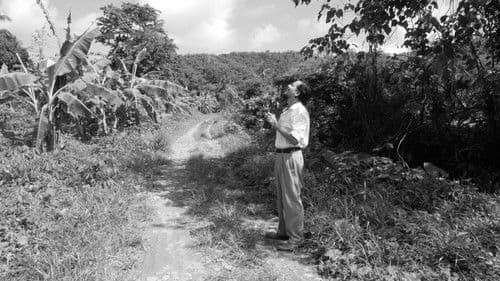 Historya ni Ha Bild 2