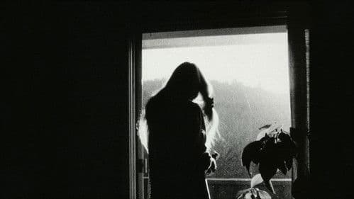 Transformations Bild 1