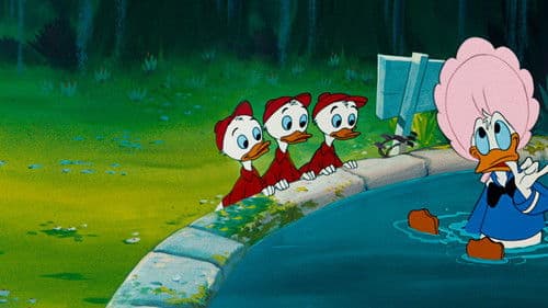 Donalds Jungbrunnen Bild 3