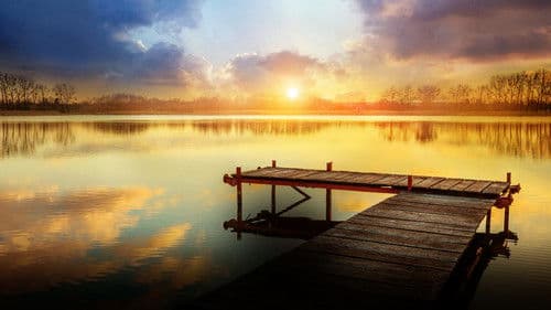 The Secret - Traue dich zu träumen Bild 8