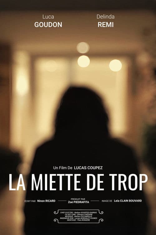 La Miette De Trop