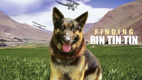 Rin Tin Tin - Ein Held auf Pfoten Bild 2