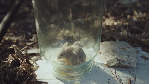 Новий дім Bild 1