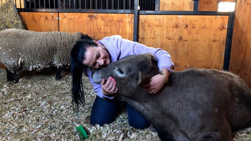 Food for Thought Bild 5