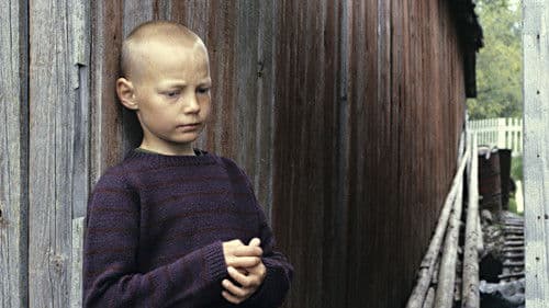 Minä, siili ja trumpetti Bild 1