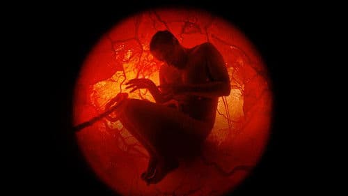 A Whole Lifetime with Jamie Demetriou Bild 3