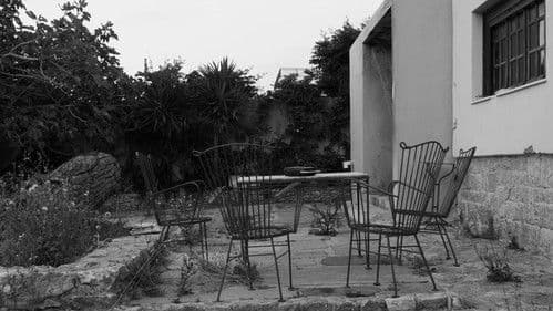 Θόδωρος Αγγελόπουλος – Νίκος Παναγιωτόπουλος: Ο καθένας και η μουσική του Bild 6