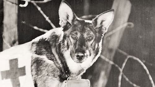 Find Your Man Bild 1