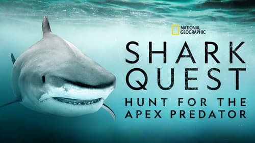 Shark Quest: Hunt For The Apex Predator Bild 7