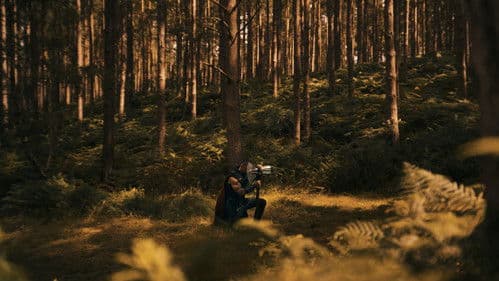 Avengers: Doomsday Bild 3