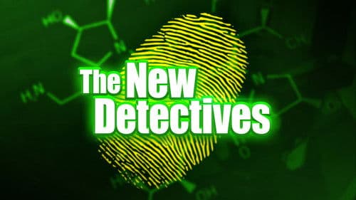 The New Detectives Bild 2