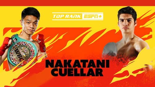 PRIME VIDEO BOXING 11 Bild 2