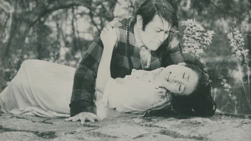 내일은 진실 Bild 1