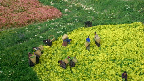 Nature : pour une réconciliation Bild 4