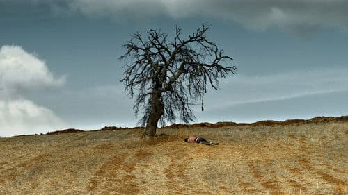 Der wilde Birnbaum Bild 8