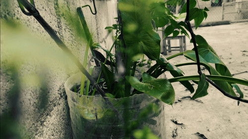 Plants And Nothing Else Bild 2