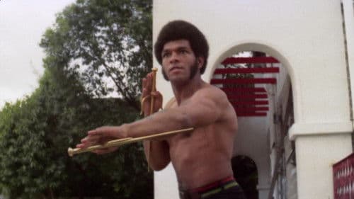 Bruce Lee - Der geheimnisvolle Tod Bild 1