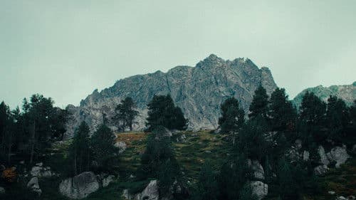 Sempre, sempre Bild 4