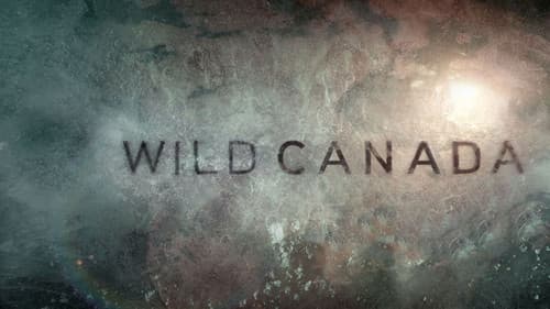 Wild Canada Bild 3