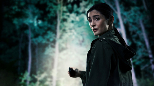 Missing and Alone Bild 2