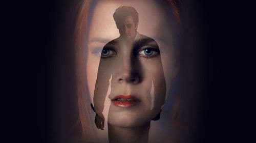 Nocturnal Animals Bild 2