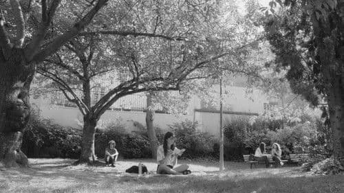 La Distraction Bild 2