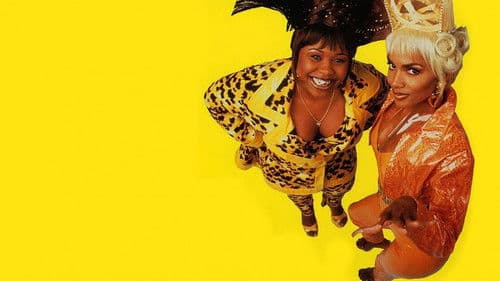 Beverly Hills Beauties Bild 3