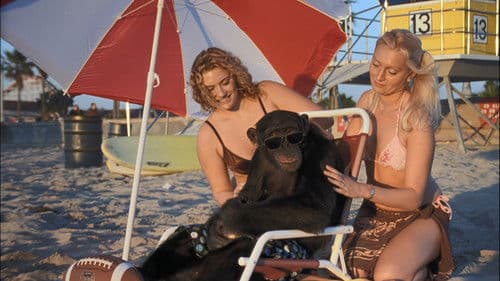 Funky Monkey - Ein Affe in geheimer Mission Bild 4