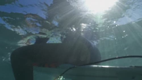 Aloha Surf Hotel Bild 5