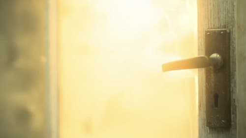 Life's Odyssey Bild 3