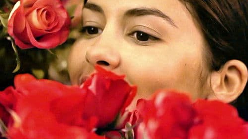 Wahnsinnig verliebt Bild 2