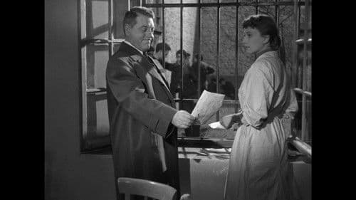 Wie verlorene Hunde Bild 8