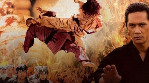 Fighter In The Wind Bild 2