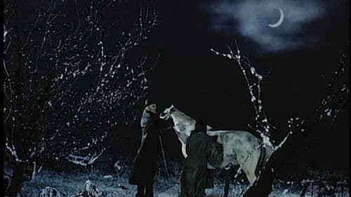 Die Geschichte vom goldenen Taler Bild 3